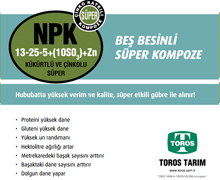 NPK 13-25-5+10(SO3)+Zn