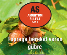 AS (Amonyum Sülfat)