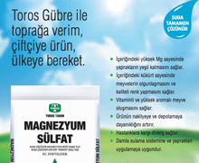 Magnezyum Sülfat