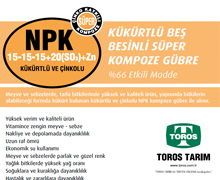 NPK 15-15-15+20(SO3)+Zn