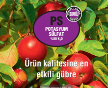 PS (Potasyum Sülfat)