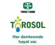 Torosol