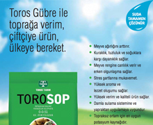 Torosop