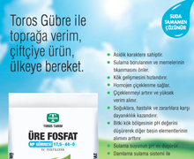 Üre Fosfat