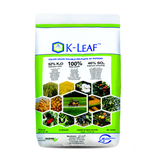 K-Leaf