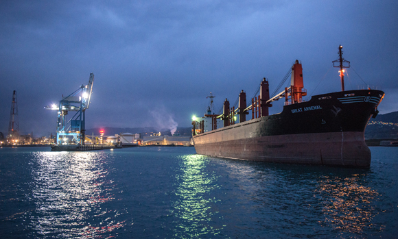 Toros Samsun Harbour